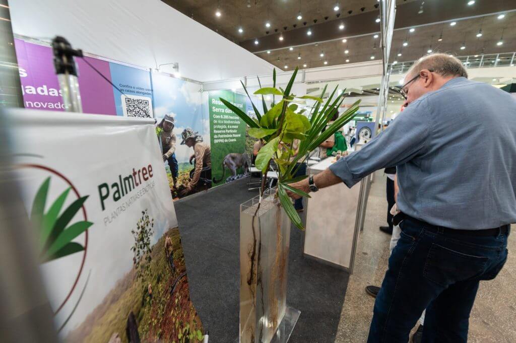 PEC Nordeste 2025