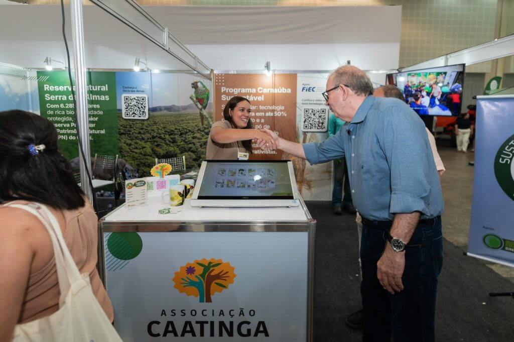PEC Nordeste 2025