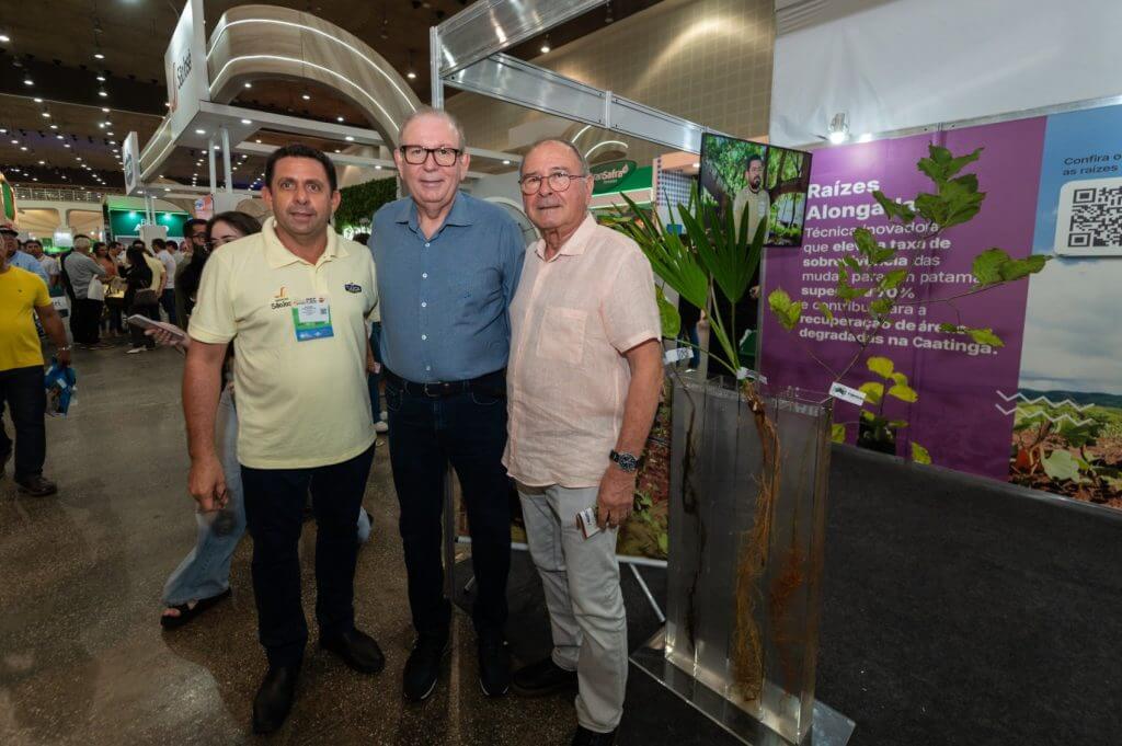 PEC Nordeste 2025