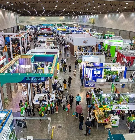 PEC Nordeste